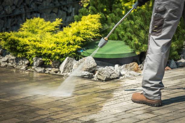 Best Gutter Cleaning and Brightening in Albion, NE